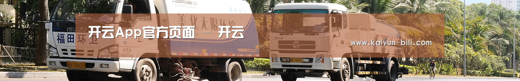 成功案例