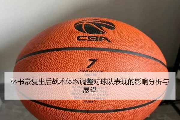 林书豪复出后战术体系调整对球队表现的影响分析与展望