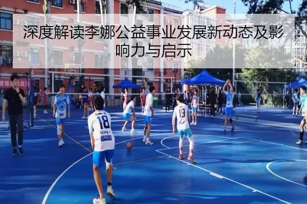 深度解读李娜公益事业发展新动态及影响力与启示
