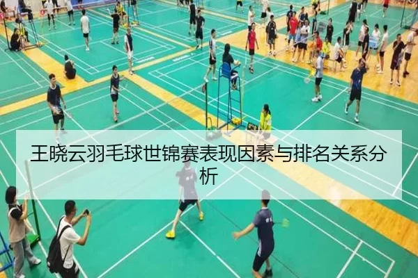 王晓云羽毛球世锦赛表现因素与排名关系分析